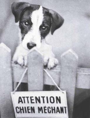 attention